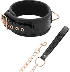Dream Love BegMe Black Edition Premium Vegan Leather Collar Collar in Black Color