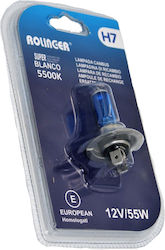 Lamp H7 Xenon Cold White