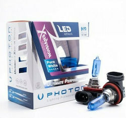 Photon Xen Vision Lamps H9 Halogen 2pcs Photon Xen Vision Lamps H9 Halogen 2pcs