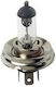 Narva Lampen Auto H4 12V 55W 1Stück