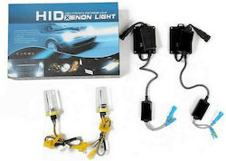 Car Xenon Kit H1 CAN Bus 55W 12V 6000K Cold White