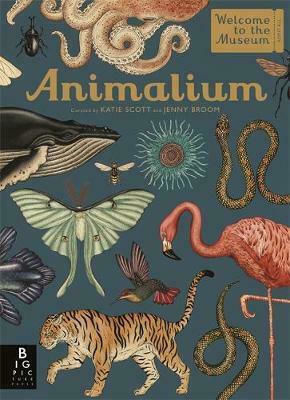 ANIMALIUM WELCOME TO MUSEUM