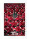 Pyramid International Afiș Squid Game Crowd 61x91.5cm