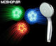 004.000.0070 Handheld Showerhead