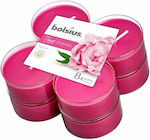 Aromatic Resault 8 hours True bolsius Clear cup 8pc -Peonies