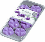 Bolsius Set de Ceară Aromatică pentru Topire cu Aromă Lavanda 8buc