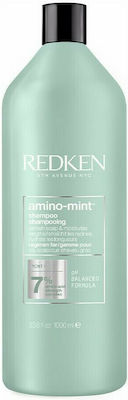 Redken Retail Amino-Mint Scalp Șampoane de Utilizare Zilnică pentru Toate Tipurile Păr 1x1000ml