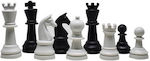 Chess Pawns