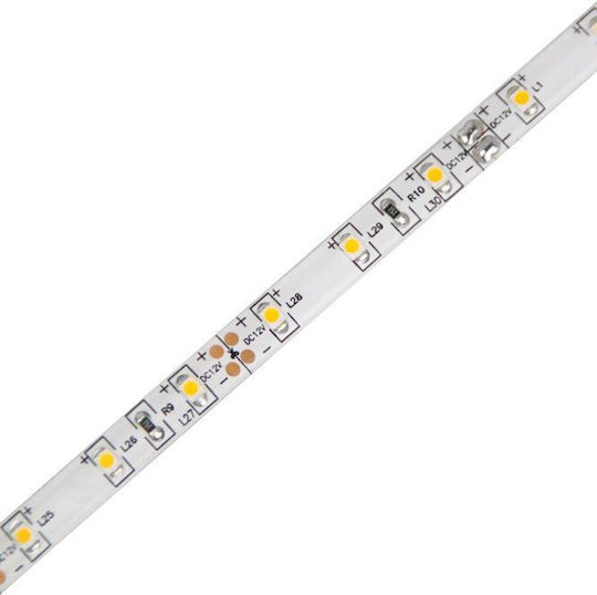 Geyer Wasserdicht LED-Streifen 12V Natürliches Weiß Licht 5m Typ SMD2835