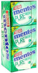 Mentos 20 Τσίχλες Pure Fresh με Γεύση Δυόσμος 12τμχ 28gr Mentos 20 Τσίχλες Pure Fresh με Γεύση Δυόσμος 12τμχ 28gr