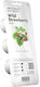 Click and Grow Emsa Wild Seeds Strawberryς 3pcs