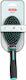 Zolux Bristle Brush Large for Misc Hair Lengths Double Sided for Coat Grooming Turquoise