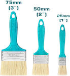 Total Paint Brush Straight 2'' 3pcs