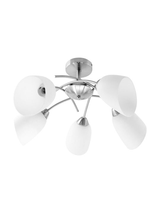 Active Jet AJE-Nikita 5P Modern Metal Ceiling Light with Socket E27 70pcs Silver NIKITA 5P Nikiel