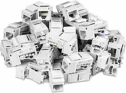 Trendnet Keystone TC-K50C6 50 Bucăți Trendnet Keystone TC-K50C6 50 Bucăți