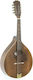 Gewa Pro Arte Antique Acoustic Mandolin