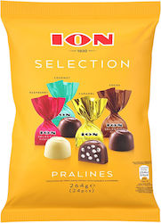 ION Selection Chocolate Treats Milk Pralines 264gr 1pcs