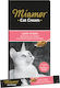 Miamor Cat Cream Wet Food for Adult Cats in Pouches with Salmon 6x15gr