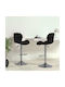 Hocker Bar mit Rückenlehne & Höhenverstellbar Black 2Stück 39x51x89-111cm