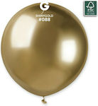 Balloon Latex Gold 48cm