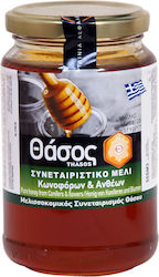 Μελισσοκομικός Συνεταιρισμός Θάσου Μέλι Ανθέων & Πεύκου 450gr