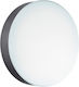 Ondaluce Nilo Outdoor Ceiling Flush Mount in Black Color PL.NILO/ANTRACITE