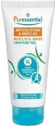 Puressentiel Muscles & Joints Cryo Pure GelPuressentiel Γέλη Κρυοθεραπείας 80ml