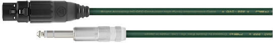 Oyaide QAC-222 XFT Cable XLR female - 6.3mm male Πράσινο 5m