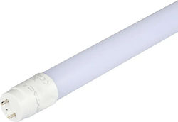 V-TAC VT-062 LED Lampen Fluoreszenztyp 60cm für Fassung G13 und Form T8 Warmes Weiß 850lm 1Stück