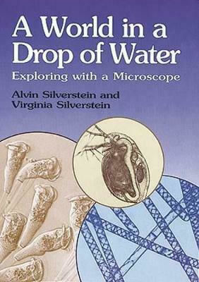 Silverstein's World in a Drop Silverstein's World in a Drop