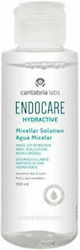 Cantabria labs Endocare Micellar Water Ντεμακιγιάζ 100ml Cantabria labs Endocare Micellar Water Ντεμακιγιάζ 100ml