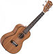 Cascha HH-2035 Cu Husă Concert Ukulele
