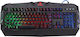 Defender Werewolf GK-120DL Gaming Tastatur mit RGB-Beleuchtung (Englisch US)