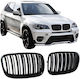 Dekorative Auto Maske BMW X5 (E70) / X6 (E71) / M4
