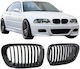 Carner Декоративна маска за кола BMW E46 / Серия 3 (E46)
