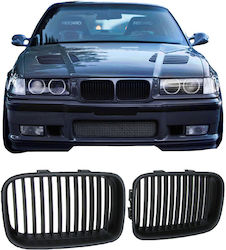 Carner Dekorative Auto Maske BMW E36 / Serie 3 (E36)