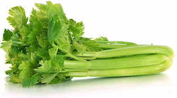 Γενική Φυτοτεχνική Αθηνών Seeds Celery 30gr