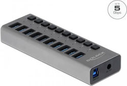 DeLock USB Hub 10 Θυρών (USB-A) 63670 DeLock USB Hub 10 Θυρών (USB-A) 63670