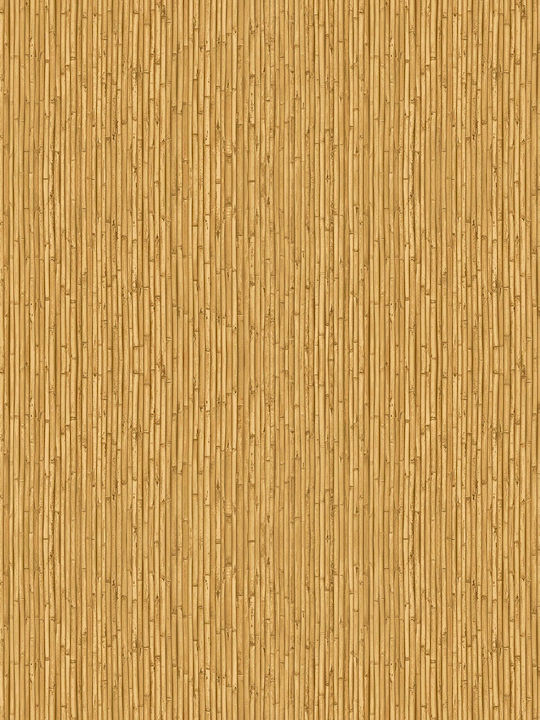 Wallpaper Flora Vinyl Brown L1005xW53cm Washable