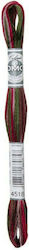 DMC Ață Broderie Mouline 117 Bumbac Multicolore 8m