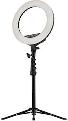Streamplify Light 14 Δαπέδου με Τρίποδο Streamplify Light 14 Δαπέδου με Τρίποδο