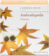 L' Erbolario Ambraliquida Eau de Parfum 100ml