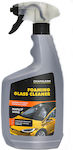 Chamaleon Spray Cleaning for Windows Foaming Glass Cleaner 650ml 49731