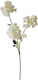 Ramură Decorativă Artificială Piersică Alb 115cm Zaros