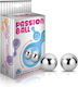 Lovetoy Passion Dual Vaginalbälle Silber