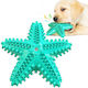 Pet Interest Squeaker Starfish Zahnpflege Zahnb...