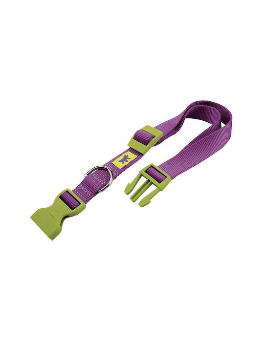 Ferplast Club Dog Collar in Purple color Collar...