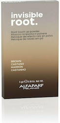 Alfaparf Milano Professional Invisible Root Com...