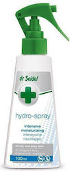 dr Seidel Hydro Spray Wasserenthärter 100ml dr Seidel Hydro Spray Wasserenthärter 100ml