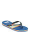 Molokai Resin Tint Men's Flip Flops Blue